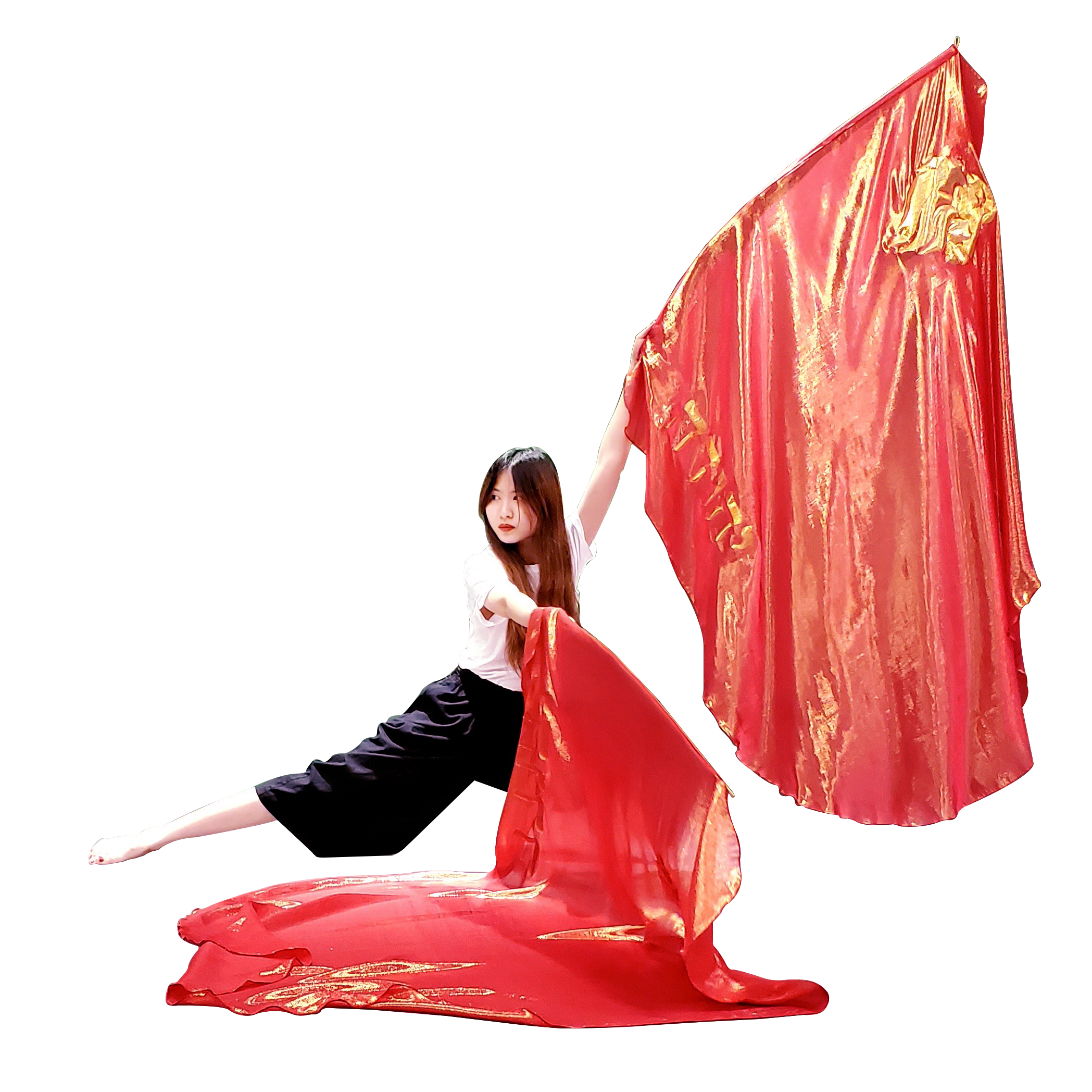 【十二支派命定舞旗系列】